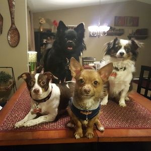 Meet your Posher, Dee